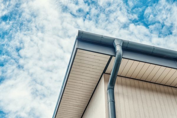Gutter Fascia Repair in Milford