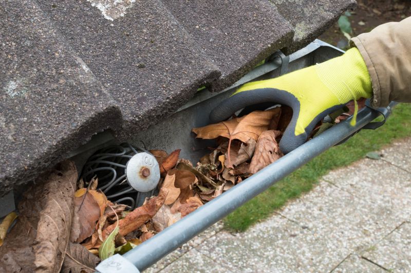 Spring Gutter Maintenance
